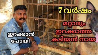 പരീക്ഷിച്ചതാണെന്ന് മറുപടി..പണി കിട്ടാതിരുന്നത് ഭാഗ്യം.. Dog challenge.. Leash talks