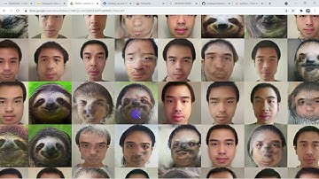 Successfully Implemented the StyleGAN2-ADA method