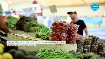 CESaRE Minute Brief - Embodied Energy