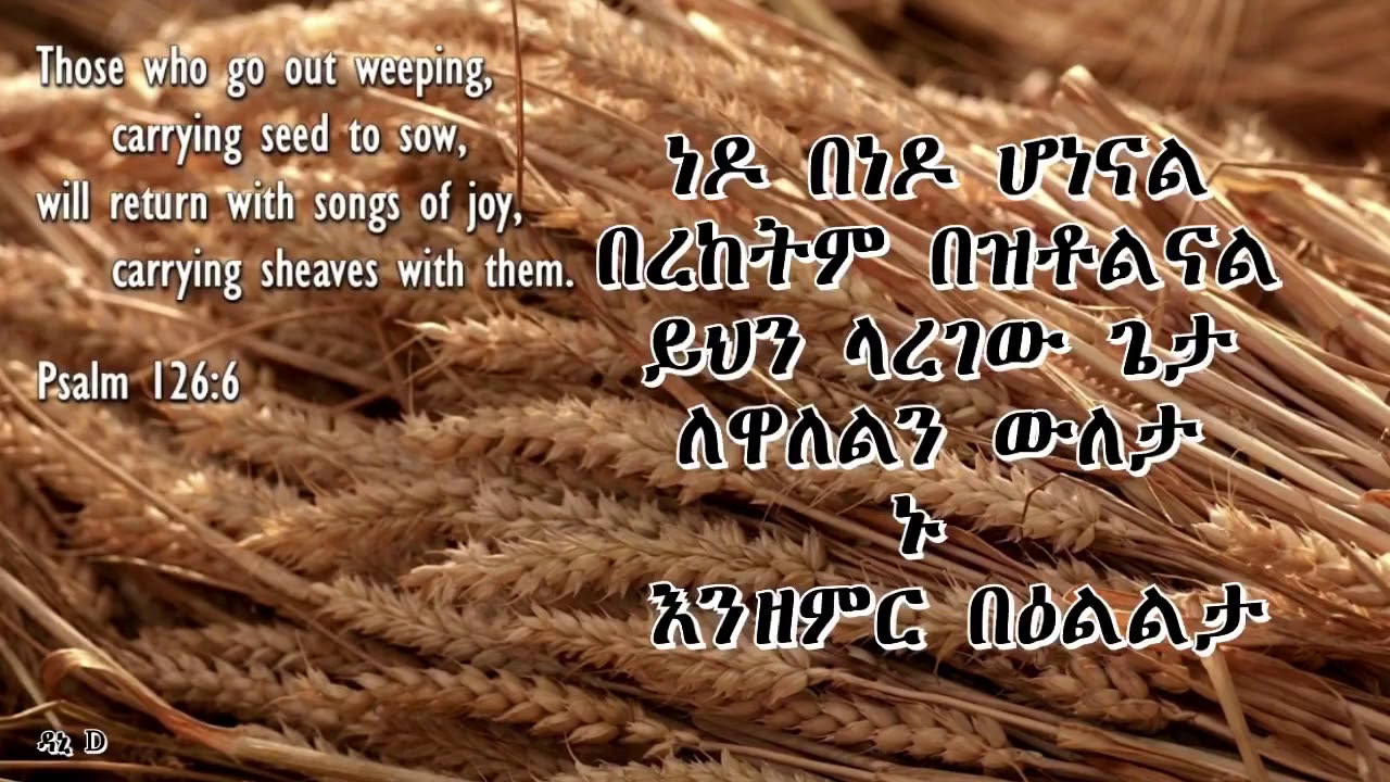 Tadesse Eshete belekso Zerin Zerten Nebere