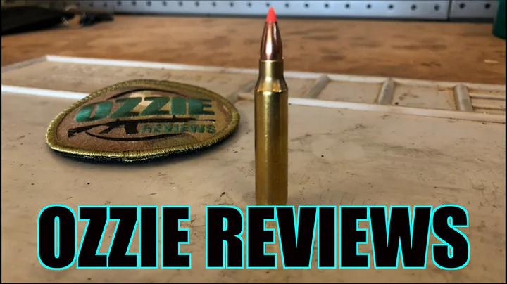 Beginner Basics #16 The 223 Remington Caliber (pros/cons)
