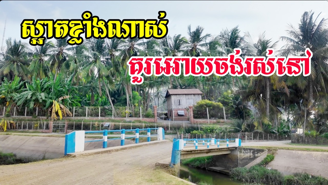 ស្អាតខ្លាំងណាស់គួរអោយចង់រស់នៅផ្លូវចេញពីច្រកអាងកំពីងពួយស្របប្រឡាយបេតុងនឹងស្របជាមួយផ្លូវកៅស៊ូតាគ្រាម