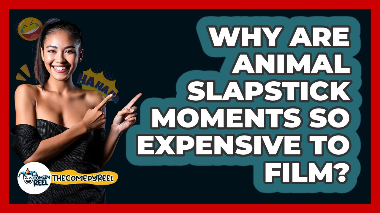 Why Are Animal Slapstick Moments So Expensive To Film? - The Comedy Reel