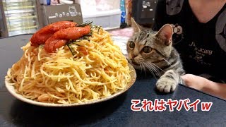 超デカ盛り明太子パスタの匂いに耐えられず邪魔しに来てしまった猫