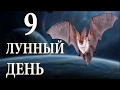 Рожденные в 9 лунный день