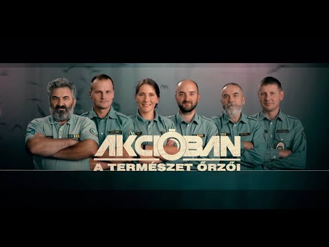 Videó: Az északi háború vége