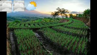 Story wa 30 detik//story wa lagu sunda