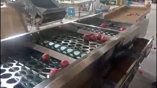 onion sorting machine, onion grading machine, onion sorter grader by anna Wang 134 views 1 month ago 39 seconds