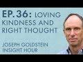 Joseph Goldstein – Insight Hour – Ep. 36 – The Eightfold Path: Loving Kindness and Right Thought