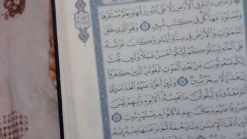 2- سورة هود * ٦ إلى ١٢.* عواطف عزب