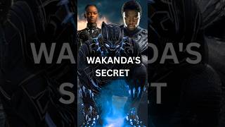 The TRUTH About Wakanda