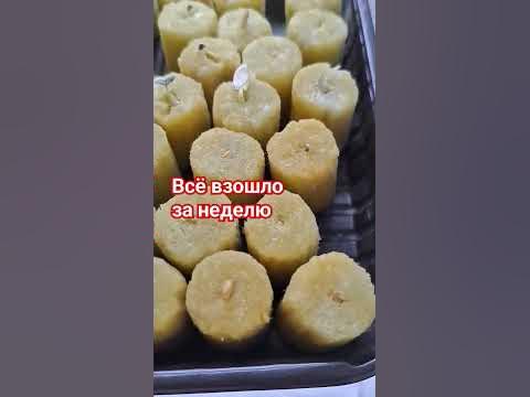 Минвата для проращивания семян работает. - YouTube