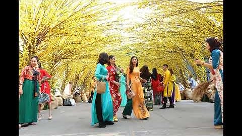 Liên khúc nhạc xuân đặc biêt chào Xuân canh tý 2020, tuyển chọn những ca khúc được yêu thích nhất.