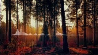 dj inside me- Dj Viral Tiktok , Fb