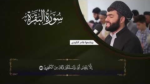 سورة البقرة بصوت القارئ بيشةوا قادر الكردي✨ راحة نفسية ✨