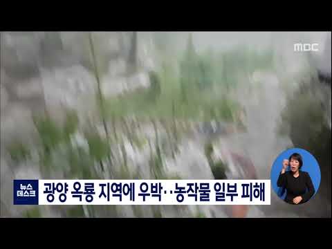 광양 <strong>옥룡</strong> 지역에 우박..농작물 일부 피해 [목포MBC 뉴스데스크]