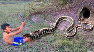 Easy Python Trap - Best Python Trap Using Wire Mesh And Bamboo Work 100%