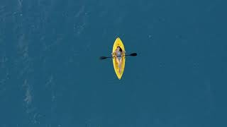 San Diego's Ocean Temperatures  A Year Round Guide