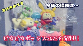 【新品未開封】 ピカピカボックス 2025 総額いくら？】ピカピカボックス2025の中身を開封レビュー【ポケモン