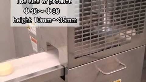 Rheon Heat Stamper Option For Encrusting Machine