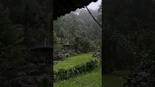 MUNG ALLOH DINA SAGALA KAAYAAN LAGU POP SUNDA MANTAP NGENAHEUN PISAN #laguviral #nature #shortsvideo