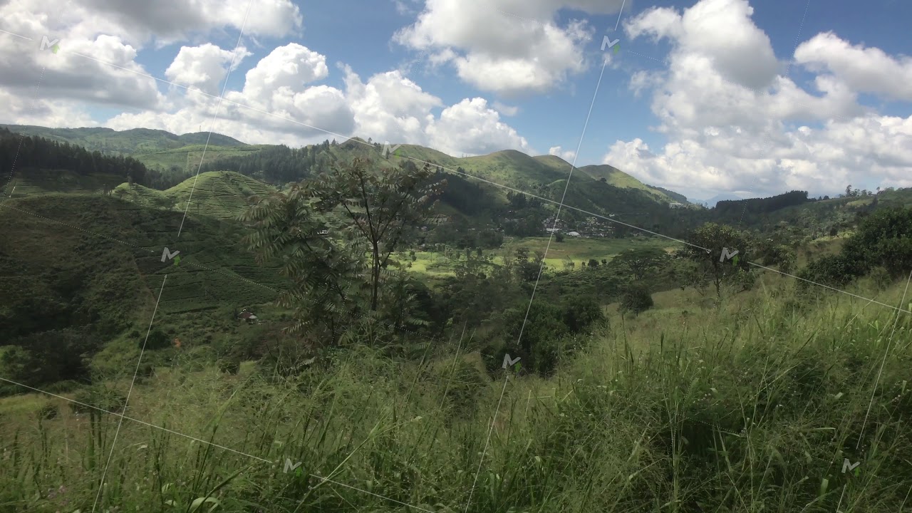 Ella, Sri Lanka, a landscape from a passing train