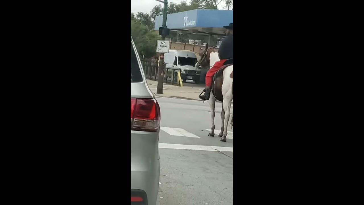 Man Riding Horse Through City Of Chicago