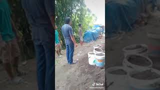 Maju Maju Bersama#GuyuBrukun #indonesiamaju #jokowi