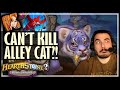 THE INVINCIBLE ALLEY CAT! - Hearthstone Battlegrounds