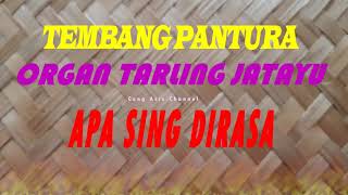 Tembang Pantura Cirebonan Organ Tarling Jatayu __APA SING DIRASA__