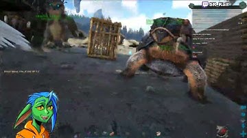 SR_Kaif - *Whistle follow (All)*