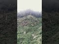##piece of piece##nature##
