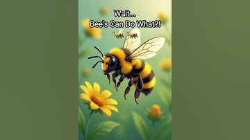 “When Bees Attack?! 🐝 | The Shocking Secret Behind Their Buzz!