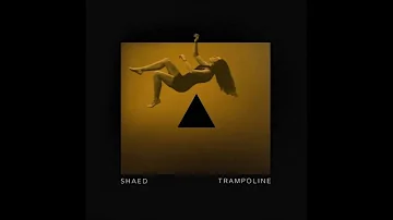 SHAED - Trampoline (WHITENO1SE & DEGO Remix) (Radio edit)