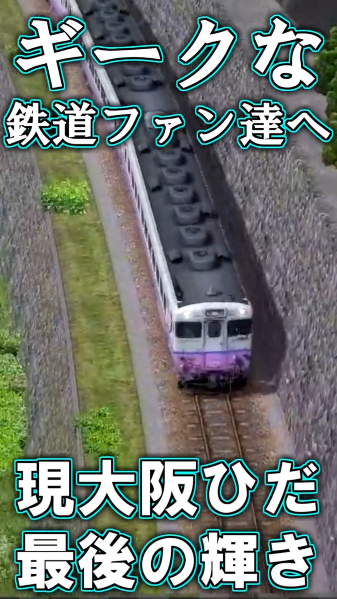 またたび　お急ぎ RailSim】🍂大阪「ひだ」のご先祖急行「たかやま」🍂 #Shorts - YouTube
