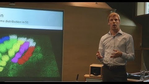 Marcel Oberlaender - Simulations of sensory-evoked signal flow in 3D reconstructions of [...]