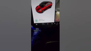 Tesla "Tilt Mirrors"