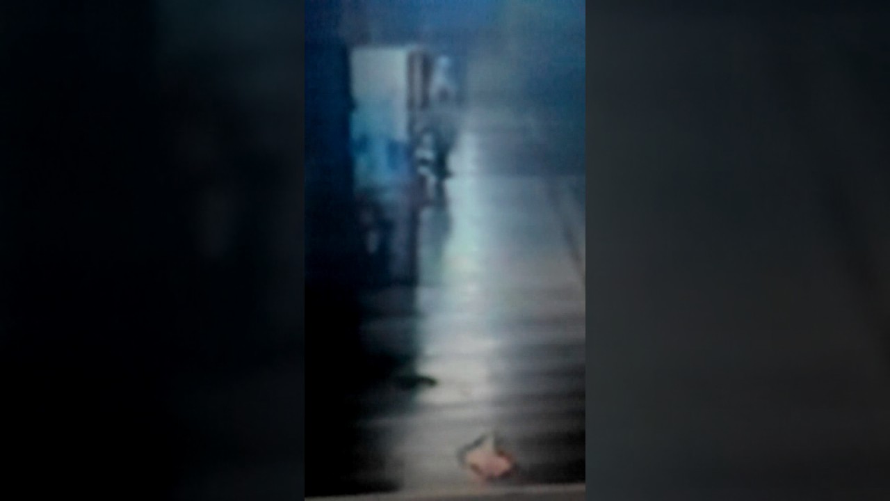 78 Youtube Penampakan Hantu Di Cctv Gratis Terbaik