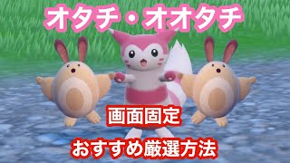 画面固定】オタチ・オオタチの色違いを大量発生なしで厳選できる