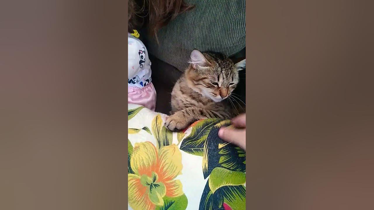 Meu Deus 😂🤣                  É o tchan! Pega no bumbum!