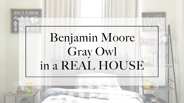 Gray Owl by Benjamin Moore in REAL HOUSE - Paint R...