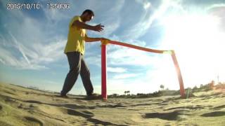 KWT/ the game of wings.....zagi combat