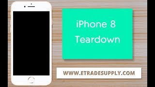 iPhone 8 Teardown