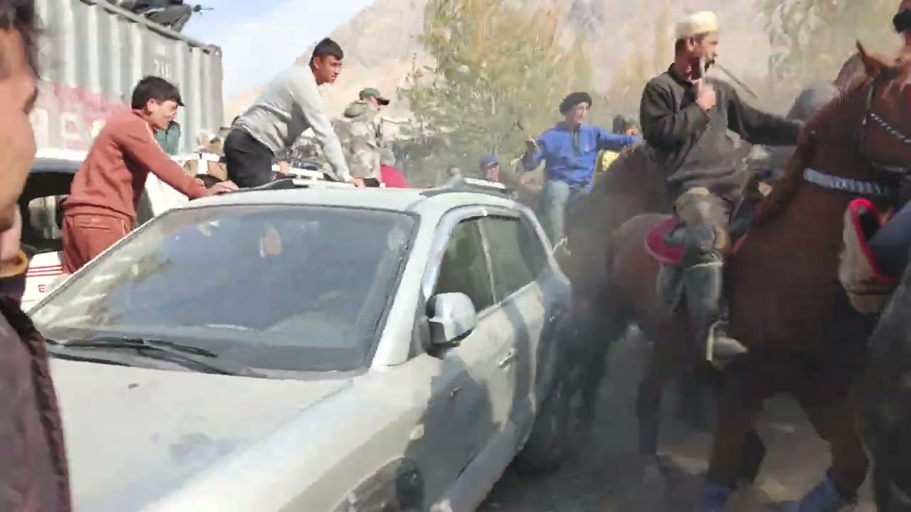 26.10.2025 бузкаши шаҳри панчекент деҳаи Косатарош 🐎