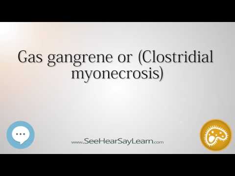 Gas gangrene or Clostridial myonecrosis 🔊