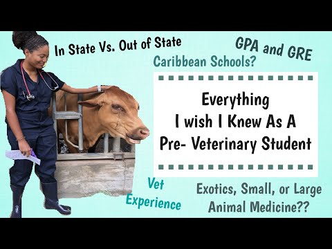 things-i-wish-i-knew-as-a-pre-vet-student-|-before-vet-school-tips