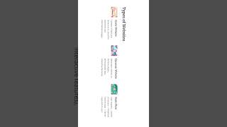 Static vs Dynamic Websites Explained