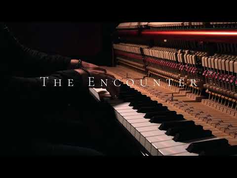 The Encounter -