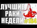 ЛРН выпуск №164. СТРЕЛЬБА С ПЕРЕПОДВЫПОДВЕРТОМ [Лучшие Раки Недели]