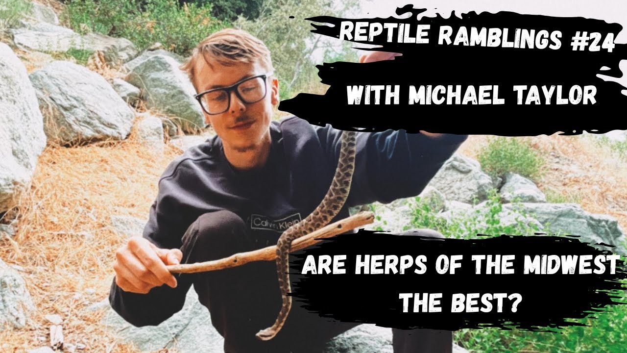 Is Herping the Midwest Best? | Reptile Ramblings #24